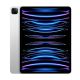 iPad Pro 11 4th Gen 2022 Cellular Used Tablet (256GB) 