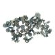 iPhone 11 Pro Max Full Screw Set [Silver]