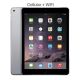 iPad Air 2 Cellular Tablet (16GB)