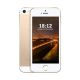 iPhone 5S Phone (16GB)