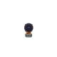 Samsung Galaxy S20 FE 4G G780 Rear Wide Angle Camera Flex Cable Replacement