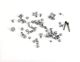 iPhone XS Max Full Screw Set Replacement [Gold]