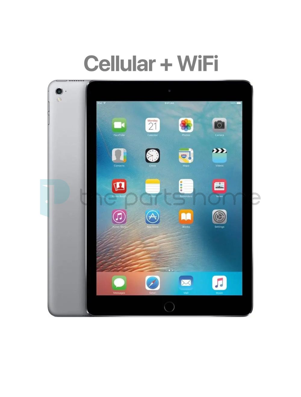 main product photo